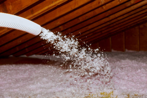 Best Eco-Friendly Insulation in Paulden, AZ